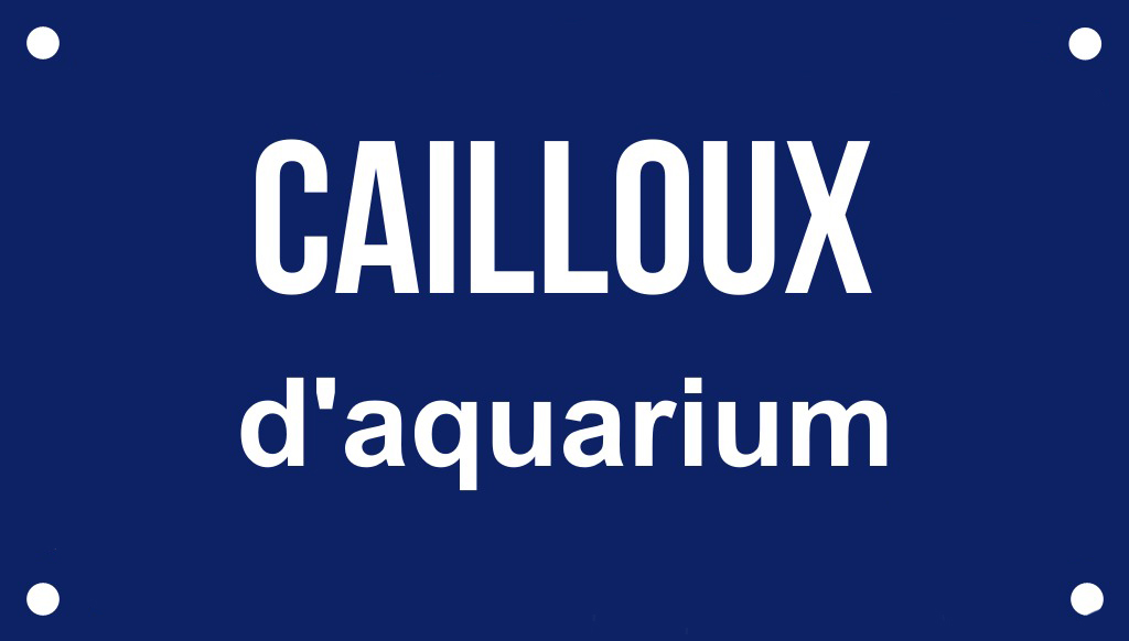 Cailloux d'aquarium