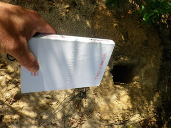 Sébastien Hoeltzener, Disparition