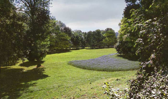 dégâts des eaux