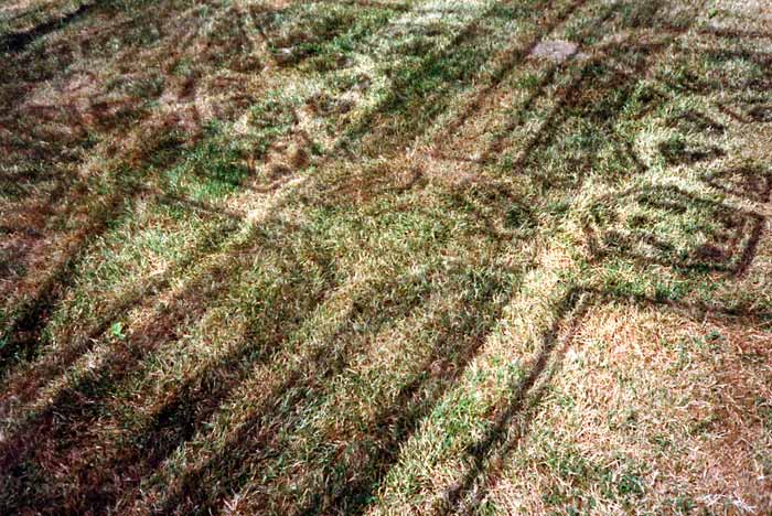 Sébastien Hoeltzener, À l'emplacement d'un jardin disparu